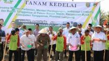 Mentan di Lampung tanam kedelai