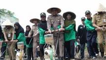 Mentan SYL saat ikut menanam kedelai