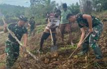 Satgas Yonif 143/TWEJ Ajak Berkebun Masyarakat Papua