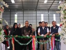 Ikut Arahan PJ Gubernur, Food Station bersama Gapoktan Gelar Panen Raya Tulang Bawang Barat