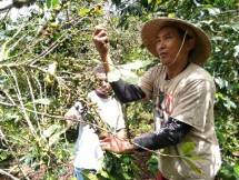 Kopi Tirto: Dukungan Aqua Untuk Konservasi Air