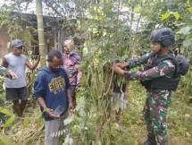 Satgas Yonif 143/TWEJ Intensifkan Budidaya Vanili Warga Perbatasan RI-PNG