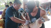 Upaya Kementan Kendalikan Penyakit Rabies di Indonesia