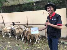 Tim SIGAP (Nur Akbar) bersama kambing kurban milik SiCepat Ekspres di wilayah Jawa Barat pada Jumat (30/06).
