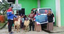Sasar Masyarakat di Sekitar Area Operasi dan Proyek, Pertagas Tebar 212 Hewan Kurban