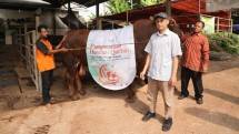 Hewan kurban TelkomGroup siap disalurkan. Dalam rangka memperingati Iduladha 1444 Hijriah Telkom bersama salah satu anak usahanya Telkomsel, kembali menyalurkan lebih dari 1.000 hewan kurban di seluruh Indonesia.