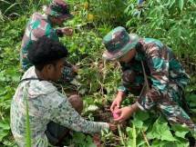Satgas Yonif 143/TWEJ Panen Bersama Warga Papua 