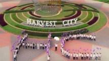 Kawasan Hunian Harvest City Jadi Incaran Kaum Milenial