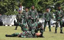 Dankormar Resmikan Soft Launching Chadrick Prajurit Petarung Korps Marinir