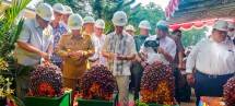 Seremoni Peningkatan Dukungan Pembiayaan Perbankan Kepada Petani Kelapa Sawit di Sumatera Selatan yang berlokasi di KID Maju Jaya, Desa Teluk Gelam, OKI, Palembang.