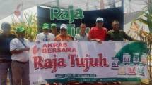 Benih jagung Raja Tujuh