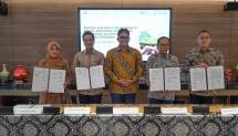 Dukung percepatan Net Zero Emission, Kilang Pertamina Internasional Kembangkan Inisiatif Nature Based Solution dan Blue Carbon