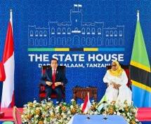 Presiden Jokowi Sampaikan Komitmen Indonesia Wujudkan Kolaborasi Konkret dengan Afrika