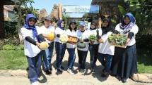 Kembangkan Urban Farming di Lahan Sempit, BRI Peduli Inspirasi Bertani di Kota 