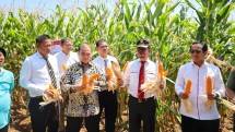 Mentan dan Petani memperlihatkan hasil panen Jagung