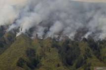 Pelaku Pembakaran Hutan Bromo Didenda Rp1,5 Miliar, BNPB: Masih Kurang Jika Dibandingkan dengan Biaya Operasional Heli Water Bombing