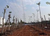 PT JIEP Berhasil Mengembalikan Fingsi Hutan Kota di Kawasan Industri Pulo Gadung