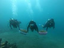 KKP Siapkan Dua Instrumen Kunci Pengelolaan Ruang Laut Berkelanjutan 