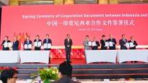 Bangun Manufaktur Panel Surya, Sinar Mas Gandeng Mitra dari China