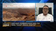 Pemerintah Rencana Batasi Izin Pembangunan Smelter Nikel Kelas I