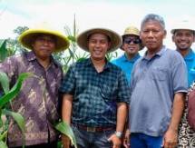 Wilmar Dukung Ketahanan Pangan Masyarakat