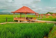 Desa Brilian nampak hijau dan segar