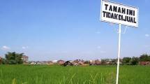 Ilustrasi Tanah (Ist)