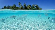 Kepulauan Selayar (Ist)