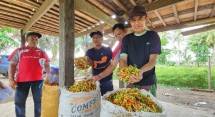 Pantau Produksi, Kementan Stabilkan Harga Cabai di Akhir Tahun
