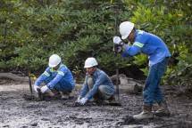  Kegiatan Environment, Social, & Governance (ESG) yang diselenggarakan PT ABM Investama Tbk (ABMM) dalam unit bisnisnya