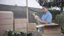 Seller Infarm, Salah Satu Penjual di Lazada.