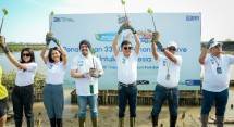 BRI tanam pohon mangrove