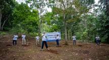 PT KSP laksanakan penanaman pohon
