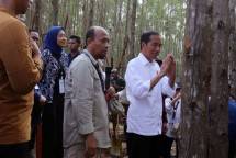 (dari kiri ke kanan)Vera Galuh Sugijanto, Direksi PT Tirta Investama mendampingi Prof. Dr.Rudianto Amirta,S.Hut.,MP., Dekan Fakultas Kehutanan Universitas Mulawarman, saat memberikan paparan terkait rencana pembangunan Miniatur Hutan Hujan Tropis Nusantara kepada Joko Widodo, Presiden Indonesia, di Nusantara, IKN 