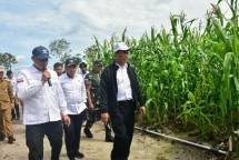 Mentan Amran tinjau food estate digunakan bercocok tanam Jagung