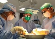 PT Siloam International Hospitals Tbk. (SILO)