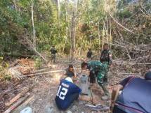 Menerjang Rimbunnya Rawa dan Hutan Demi Tuntaskan Penambahan Pilar Patok Perbatasan RI-PNG