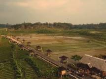 Suasana perkampungan desa Brilian
