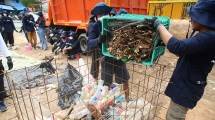 Ilustrasi sampah