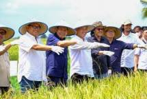 Kolaborasi Petani dan Swasta di Banyuasin Tuai Sukses