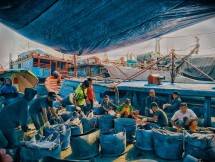 PT Perikanan Indonesia Torehkan Kinerja Positif Pasca Dua Tahun Merger