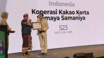Bikin Bangga, Kakao Asal Jembrana Raih Cacao of Excellence Silver Award 2023