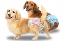 Manner Wear, Popok Anjing dari Unicharm Pet Yang Didesain Pas dan Mudah Dipakaikan