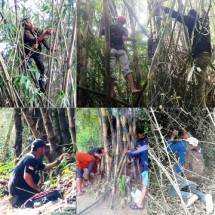 Mbolang