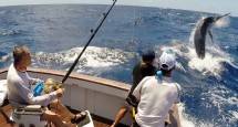 'Widi International Fishing Tournament 2017 (Foto Istimewa)