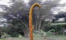 Bambu dan Kehidupan