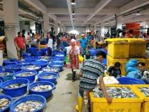 PT Perikanan Indonesia Siap Penuhi Ketersediaan Ikan Jelang Hari Raya Idul Fitri 2024