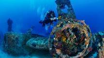 Ini 6 Aktivitas Seru yang Bisa Dilakukan di KEK Morotai, Snorkeling Hingga Berenang dengan Hiu