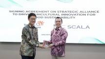 Direktur Digital Business Telkom Muhamad Fajrin Rasyid (kanan) menyerahkan cindera mata kepada Presiden Scala Jepang Norikatsu Nagino usai penandatangan kerja sama antara Telkom dan Scala Jepang