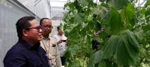 Dorong Ketahanan Pangan, Jamkrindo Kolaborasi Program Kebun Gizi 